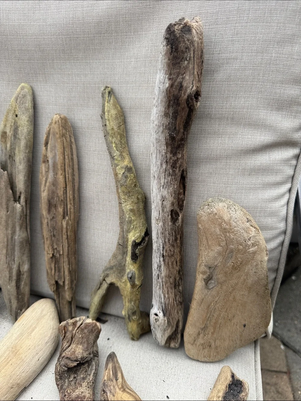 22 pcs(5lb shipped)Natural Driftwood & Beach Wood Accent Collection decor, craft